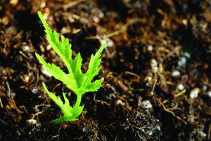 延邊朝鮮族自治州肥料有限責(zé)任公司