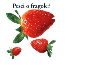 白城市電子天平有限責(zé)任公司