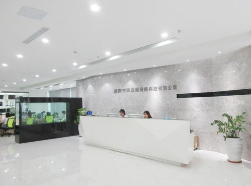 信陽市限量版網(wǎng)絡(luò)科技 技術(shù)開發(fā)的新篇章